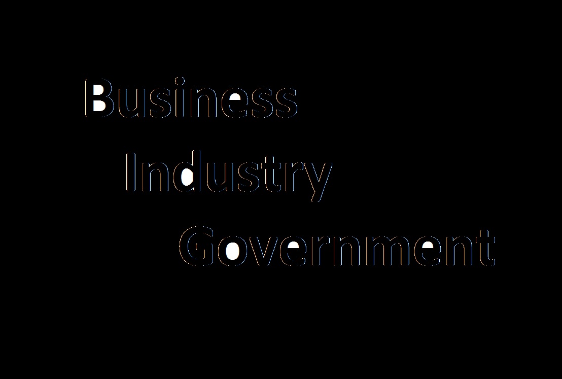 Business, Industry, and Government (BIG) Group group image